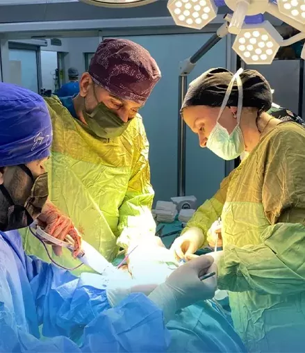 Dr. Taylan Yanar